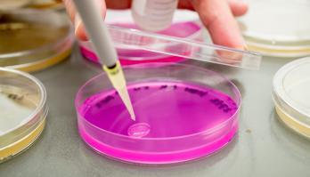 Team smartfood R&D breidt uit