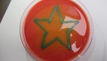 Happy holidays from Team smartfood R&D
