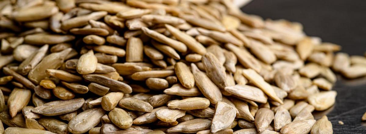 Challenge testing with pathogenic and non-pathogenic spoilage organisms